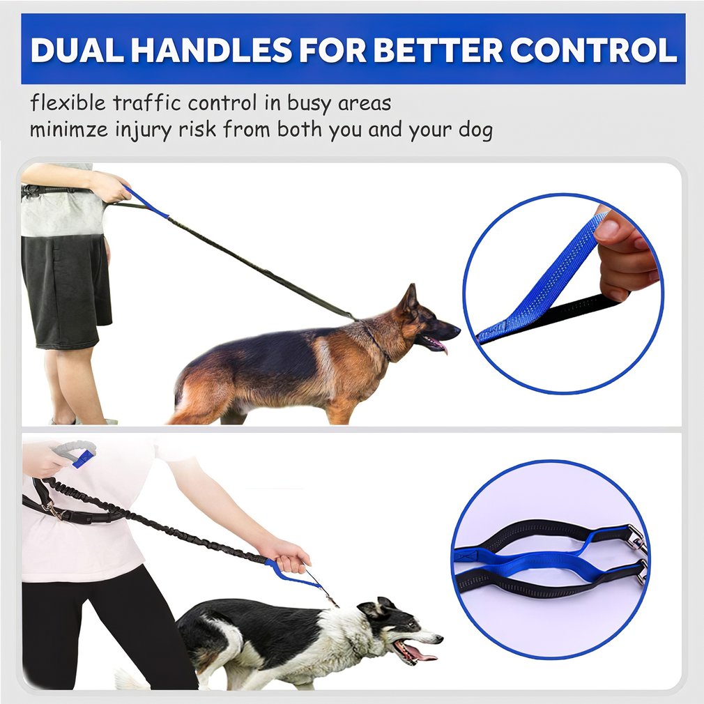 Hot Newest Traction Rope Hands Free Dog Leash