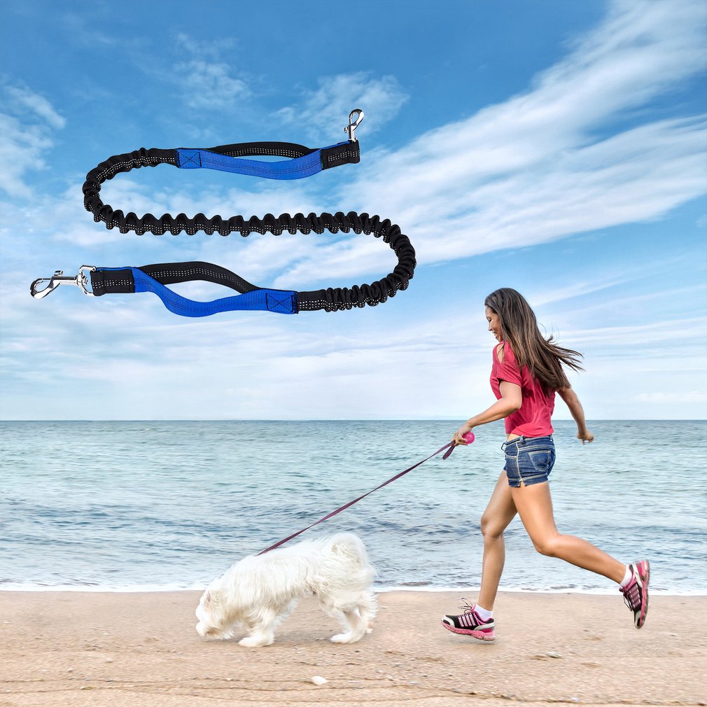 Hot Newest Traction Rope Hands Free Dog Leash