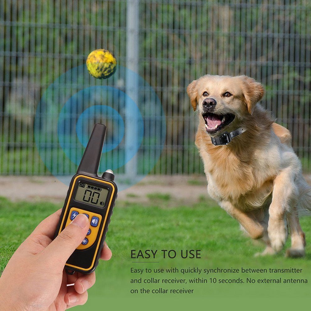 Dog Training Collar 800M Electric Dog Supplies Waterproof Wireless Fencing Stystem Rechargeable Receiver Shock Vibration Sound