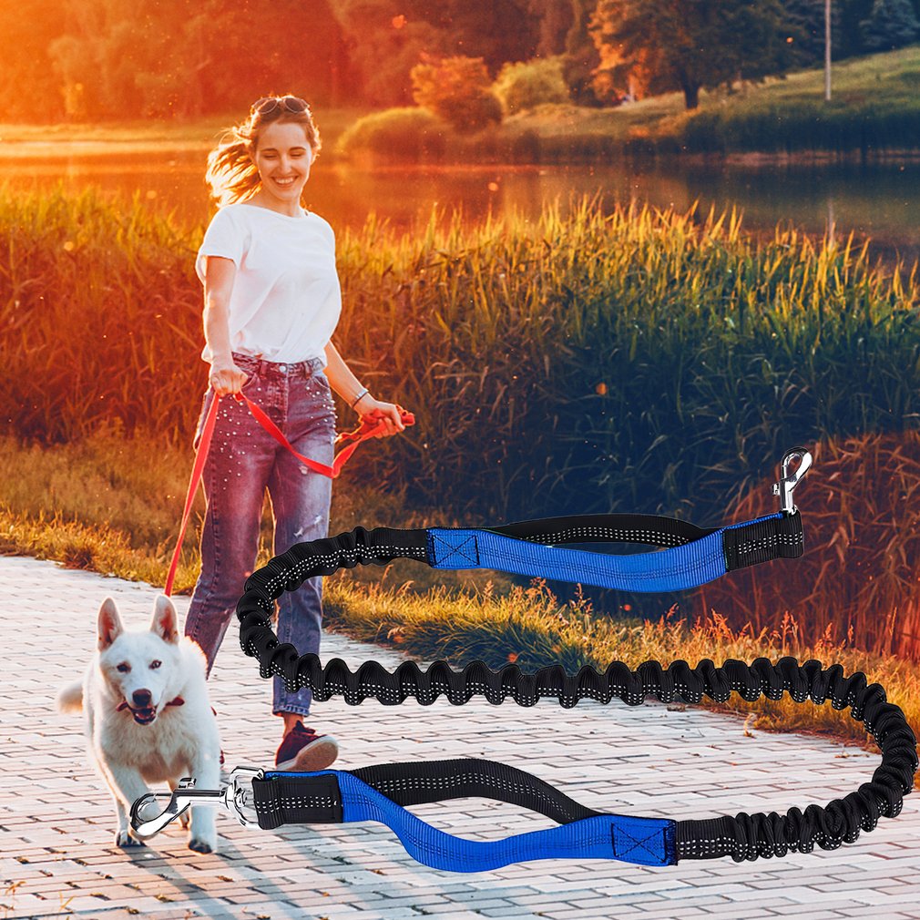 Hot Newest Traction Rope Hands Free Dog Leash