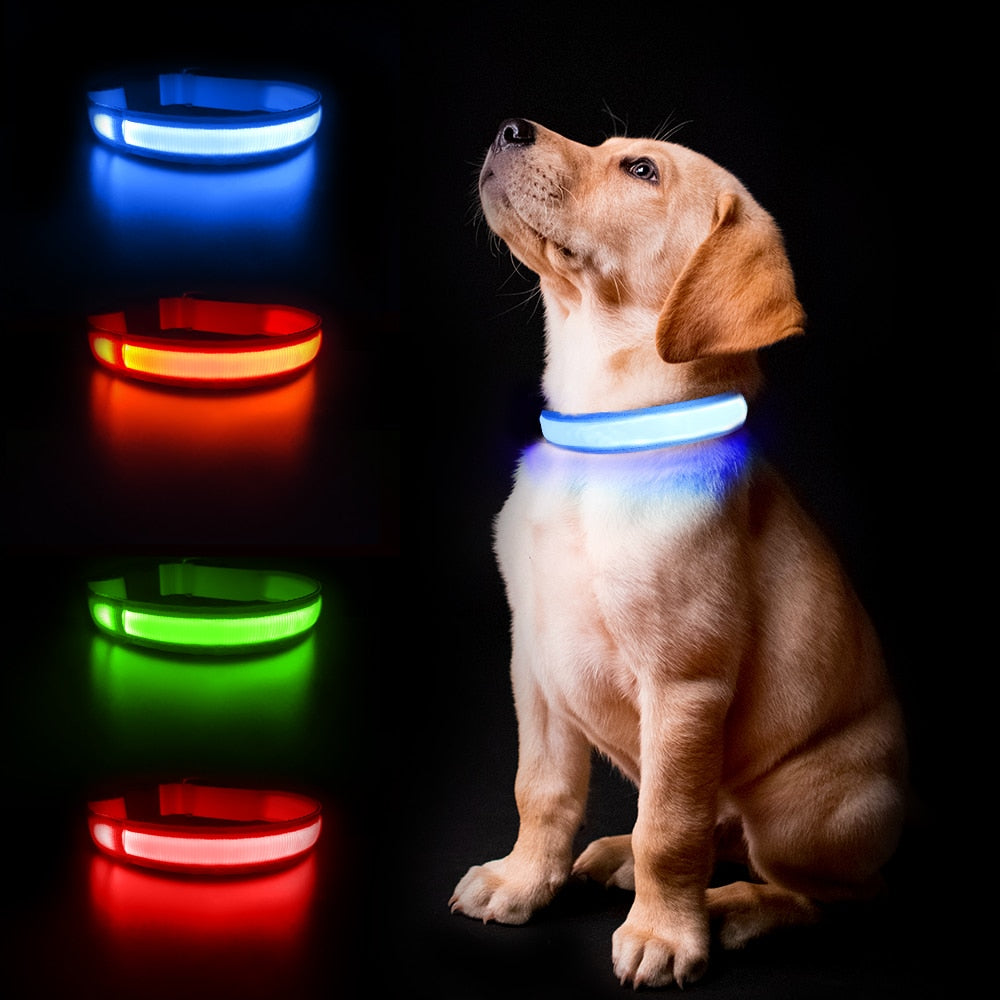 MASBRILL LED Dog Collar Luminous Pet Supplies Dog Collar Waterpoof Safety Glow Necklace