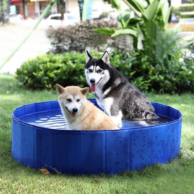 Fast Delivery Pet Dog Pool Collapsible Large Dog Swimming Bath Pool Portable PVC Outdoor Durable Solid Tub Kids Pool for Dog