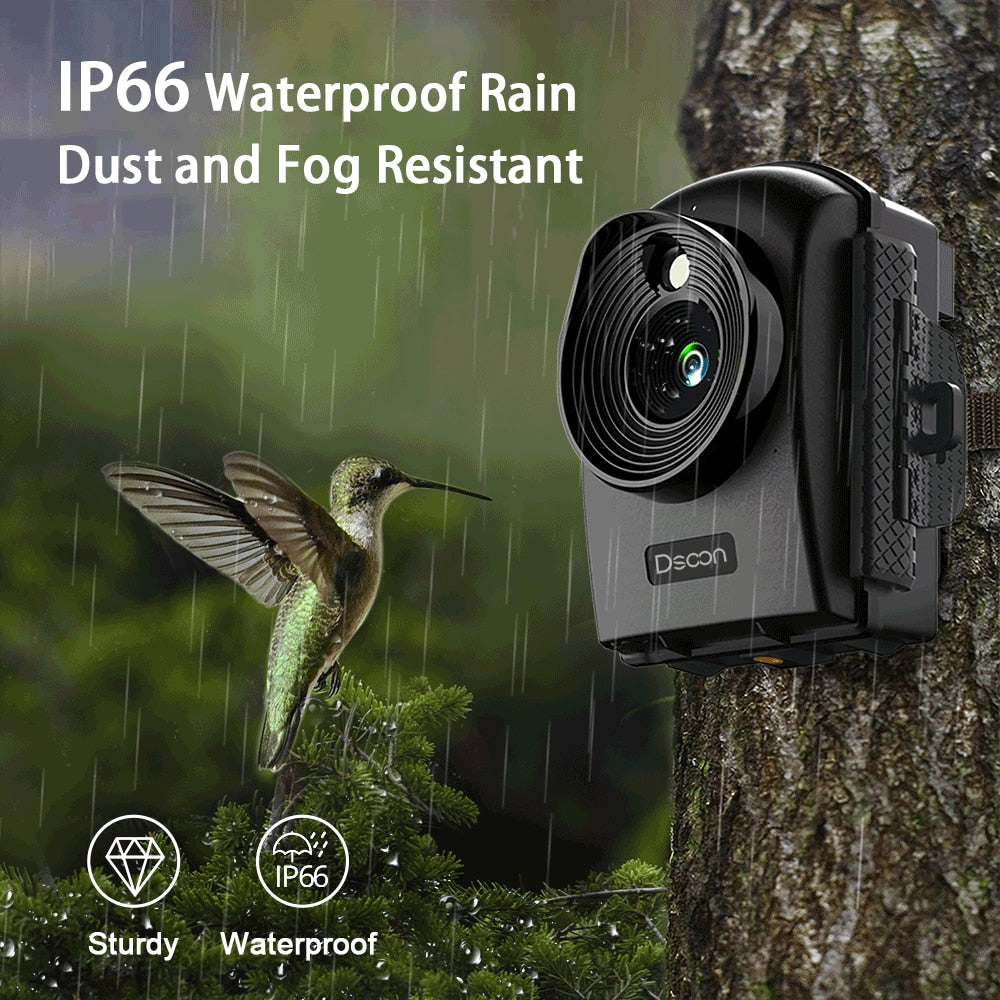 Time Lapse Camera 1080P Photo Video 2.4&quot; HD TFT LCD Outdoor Construction/Plant/Weather/Life 6 Month Battery Waterproof IP66