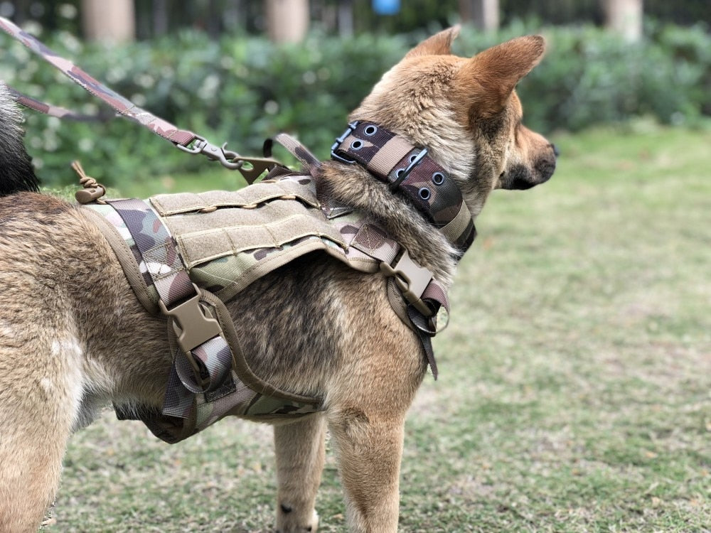 Tactical Dog Harness and Leash Collar Set Pet Training Vest With Molle Harness For All Small Medium Big Large Dogs