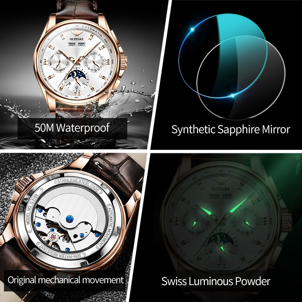 OUPINKE Men Luxury Watch For Men Top Brand Mechanical Wrist Watches Sapphire Glass Waterproof Automatic Watch