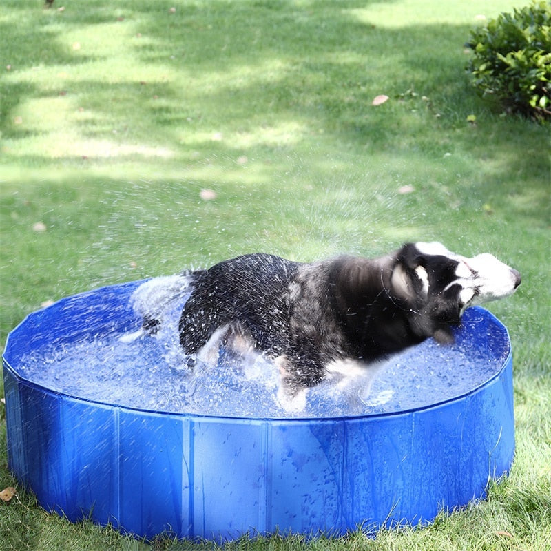 Fast Delivery Pet Dog Pool Collapsible Large Dog Swimming Bath Pool Portable PVC Outdoor Durable Solid Tub Kids Pool for Dog