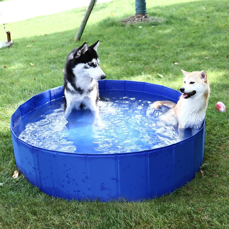 Fast Delivery Pet Dog Pool Collapsible Large Dog Swimming Bath Pool Portable PVC Outdoor Durable Solid Tub Kids Pool for Dog