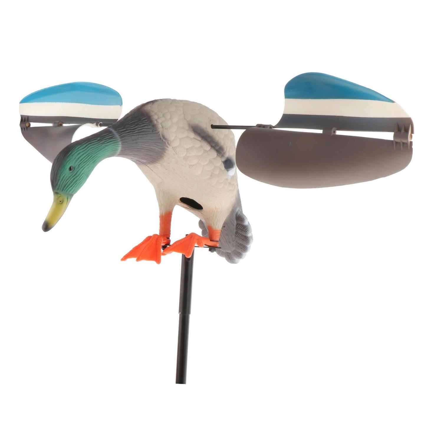 Mallard Drake Wind Driven Hunting Duck  with   Wings