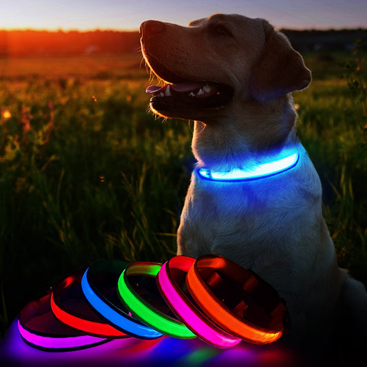 MASBRILL LED Dog Collar Luminous Pet Supplies Dog Collar Waterpoof Safety Glow Necklace