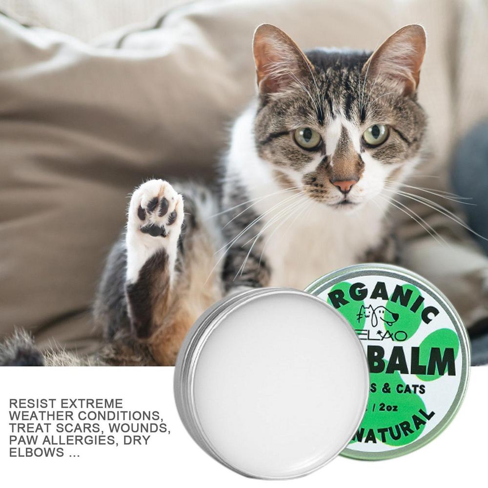 Dog Paw Soother Balm